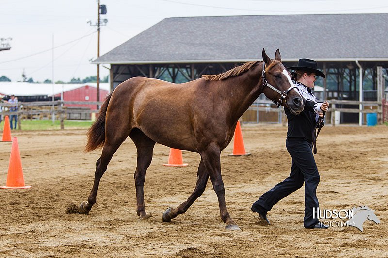4H-2nd--072813-1345.jpg