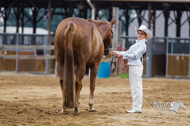 4H-2nd--072813-1352.jpg