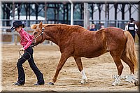 4H-2nd--072813-1299.jpg