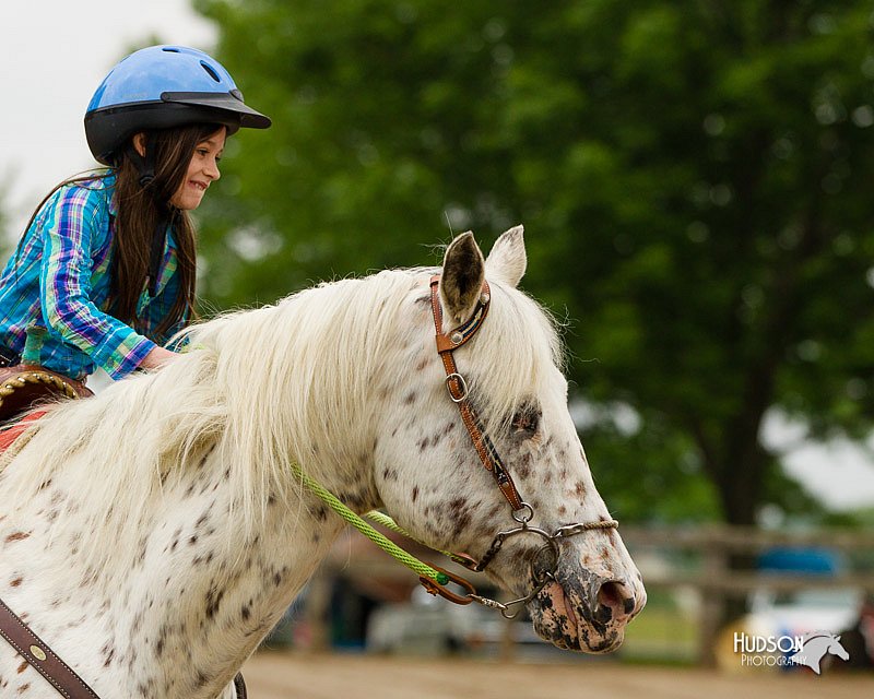 4H-FUN-060813-0265.jpg