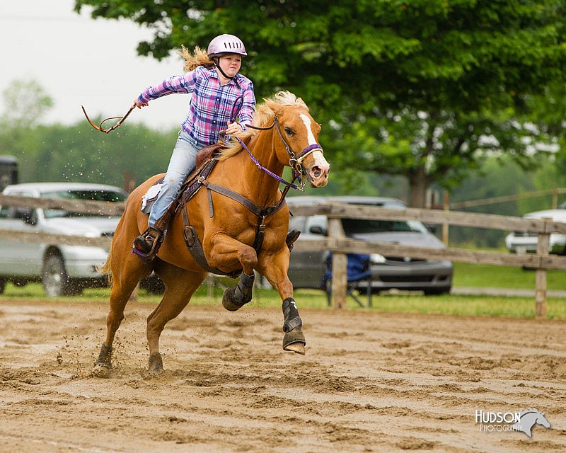 4H-FUN-060813-0280.jpg
