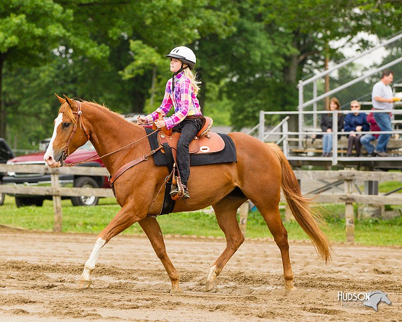4H-FUN-060813-0284.jpg