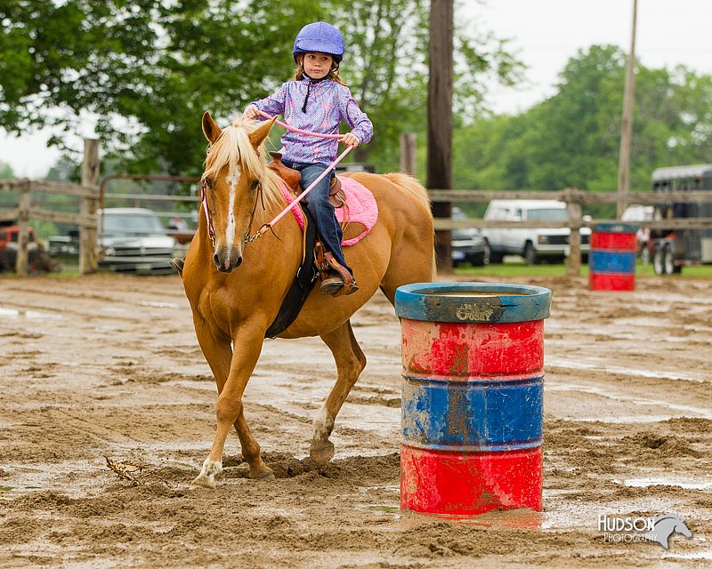 4H-FUN-060813-0330.jpg