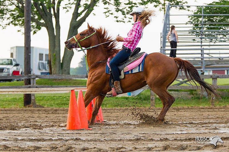 4H-FUN-060813-1517.jpg