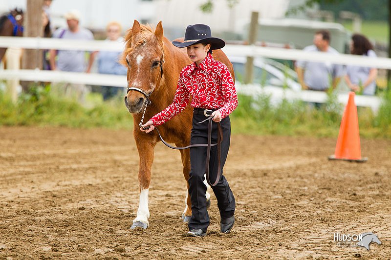 4H-FUN-060813-0133.jpg