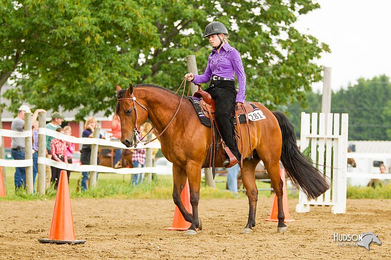 4H-FUN-060813-0991.jpg
