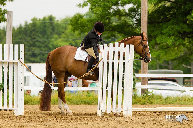 4H-FUN-060813-1008.jpg