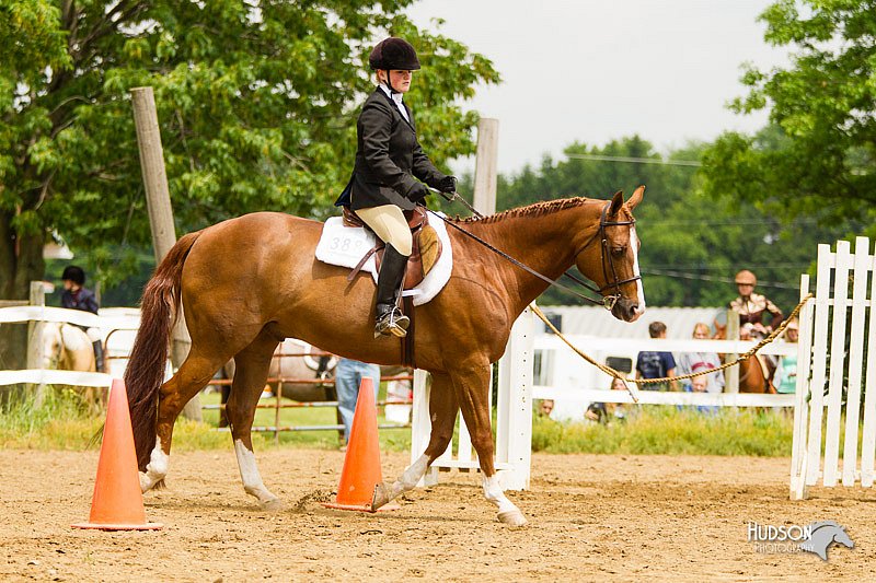 4H-FUN-060813-1010.jpg