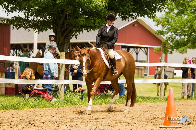 4H-FUN-060813-1012.jpg