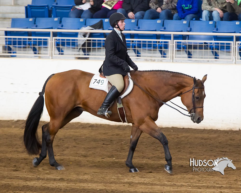 4H-Sate-102713-1228.jpg