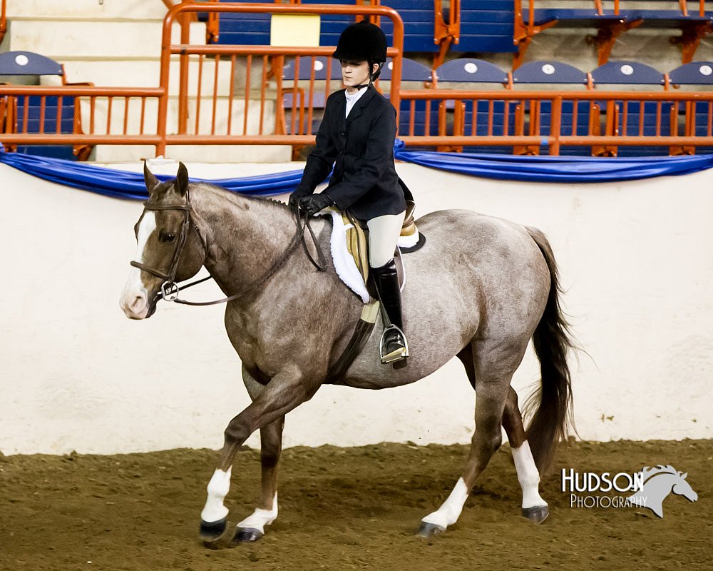 4H-Sate-102613-0885.jpg