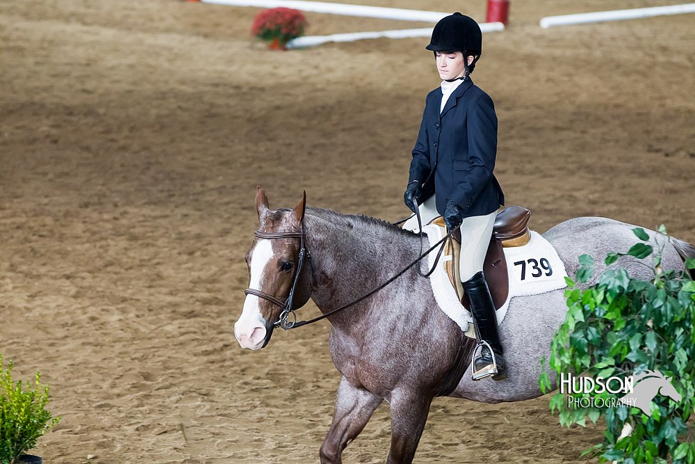 4H-Sate-102613-0517.jpg