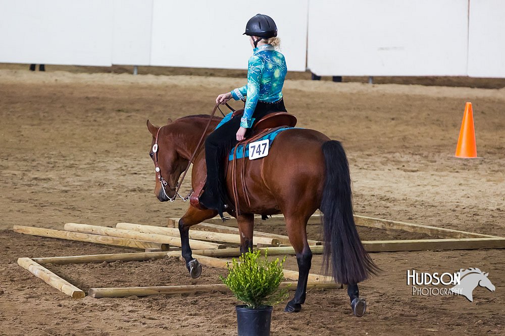 4H-Sate-102613-0597.jpg