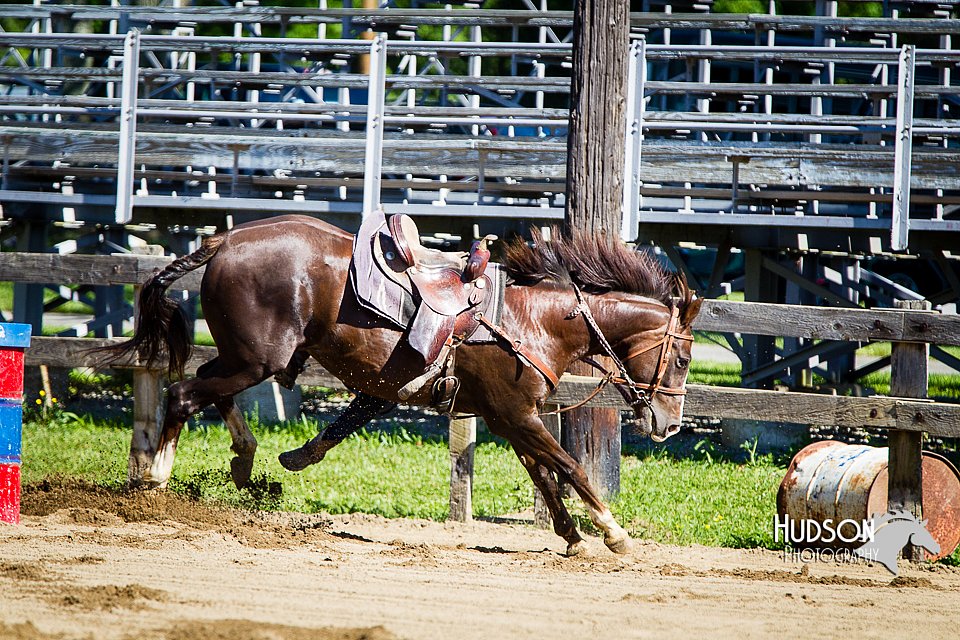 4H-FUN-060714-0206.jpg