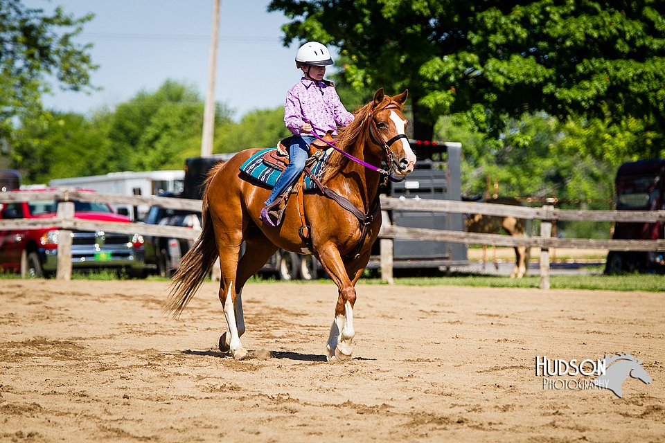 4H-FUN-060714-0265.jpg