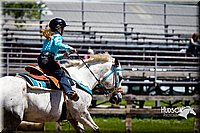 4H-FUN-060714-0722.jpg