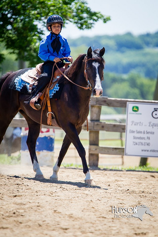 4H-FUN-060714-0857.jpg