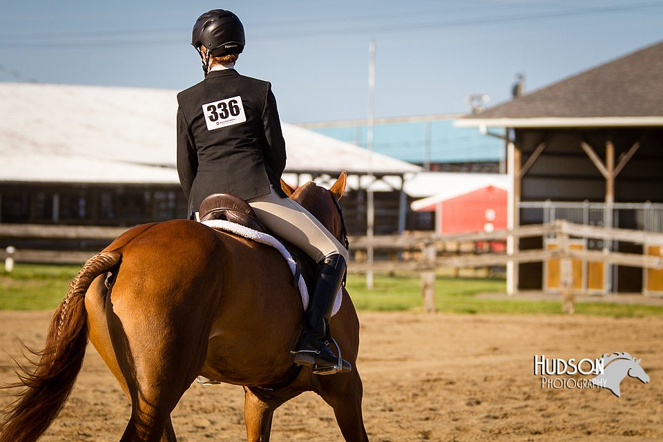 4H-FUN-060714-1855.jpg