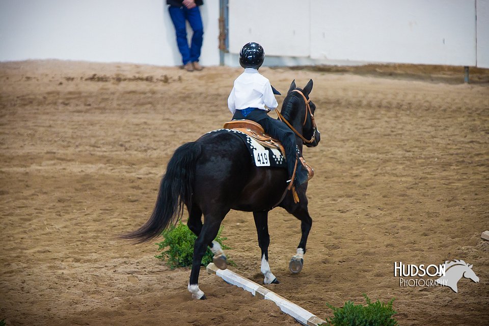 4H-State-102414-0094.jpg