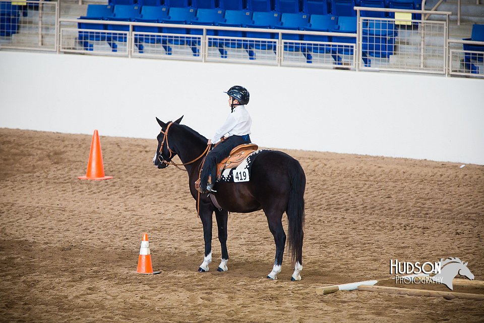 4H-State-102414-0112.jpg