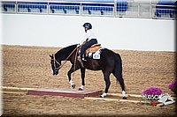 4H-State-102414-0108.jpg