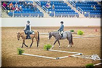 4H-State-102514-0493.jpg