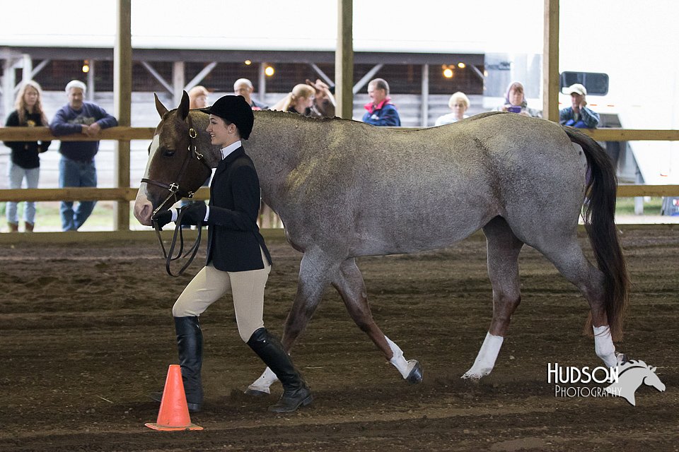 4H-District-15-0081.jpg