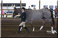 4H-District-15-0078.jpg