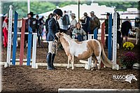 4H-District-15-0438.jpg