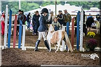 4H-District-15-0439.jpg