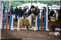 4H-District-15-0440.jpg