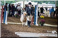 4H-District-15-0441.jpg