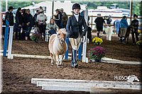 4H-District-15-0442.jpg