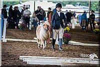 4H-District-15-0443.jpg