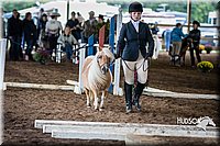 4H-District-15-0444.jpg