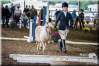 4H-District-15-0445.jpg