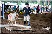 4H-District-15-0446.jpg