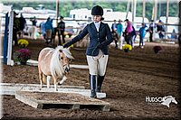 4H-District-15-0447.jpg