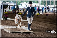 4H-District-15-0448.jpg