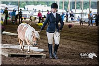 4H-District-15-0449.jpg