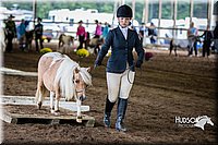 4H-District-15-0450.jpg