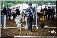 4H-District-15-0470.jpg