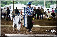 4H-District-15-0472.jpg