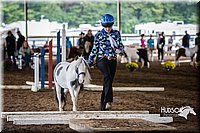 4H-District-15-0474.jpg