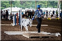 4H-District-15-0475.jpg