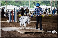 4H-District-15-0476.jpg