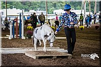 4H-District-15-0477.jpg