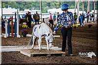 4H-District-15-0478.jpg