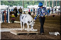 4H-District-15-0479.jpg