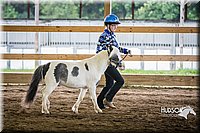 4H-District-15-0482.jpg